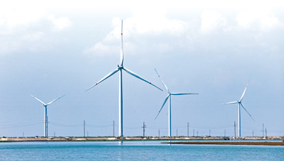 C71980：东营：乘势而上引“风”来